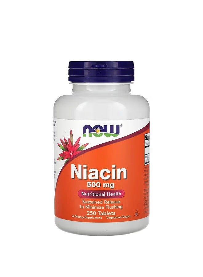 now Niacin, 500 mg, 250 Tablets - Image 1