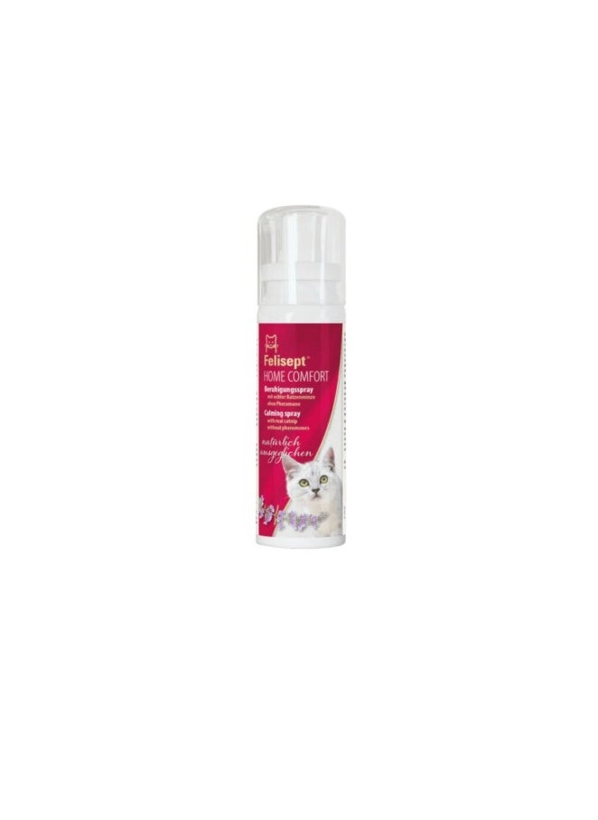 Felisept - Felisept Home Comfort Calming Spray (100ml) - Image 1