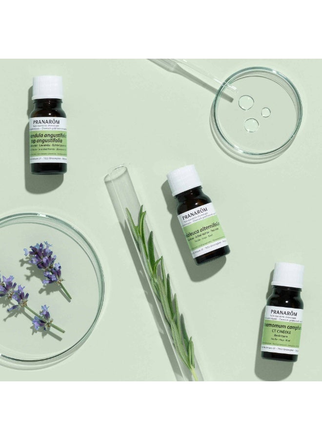 PRANAROM Pranarôm Bio Essential Oil True Lavender (Lavandula angustifolia) 10 ml - Image 2