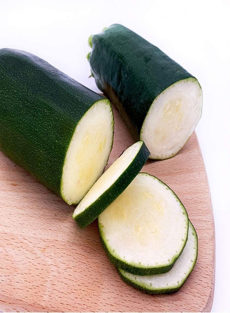 GGOOT 100pcs Dark Green Zucchini Seeds Adaptability Strong Outdoor Gardening Planting Squash Vegetables Suitable Beginners Professional Gardeners - Image 3