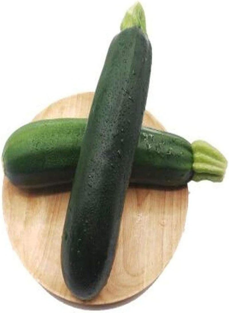 GGOOT 100pcs Dark Green Zucchini Seeds Adaptability Strong Outdoor Gardening Planting Squash Vegetables Suitable Beginners Professional Gardeners - Image 2