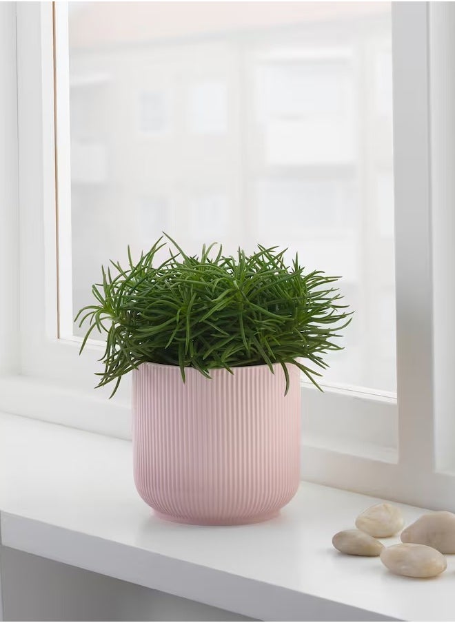 Generic GRADVIS Plant pot, pink, 12 cm  - Image 2