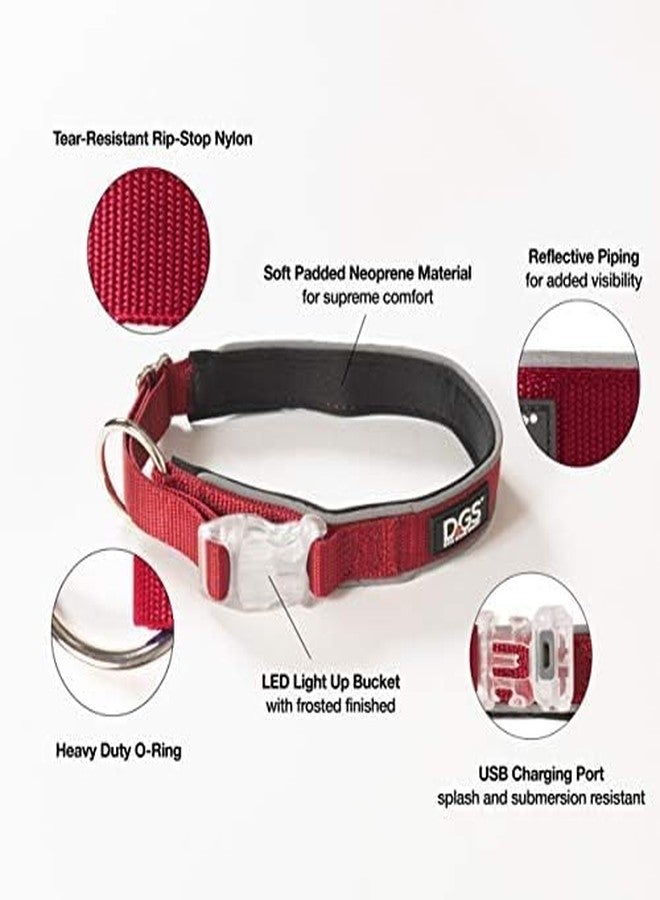 Dog Gone Smart Pet Products Super Bright LED All Day & Night Wear Safety Comet Collar Dogs, Adjustable Breathable Strong Nylon, Puppies, Large, Medium, Small - Image 3