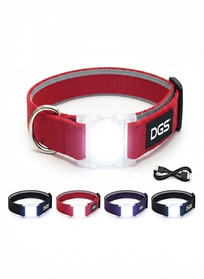 Dog Gone Smart Pet Products Super Bright LED All Day & Night Wear Safety Comet Collar Dogs, Adjustable Breathable Strong Nylon, Puppies, Large, Medium, Small - Image 1