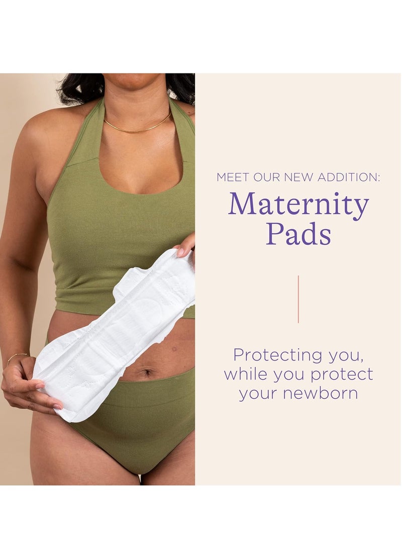 Lansinoh Lansinoh Extra Absorbent Premium Maternity Pads 0-2 Weeks Post-Birth, After Delivery Pad For Urinary Incontinence & Heavy Flow|Extra Soft Ultra-Absorbent|Postpartum Flow & Overnight Flow|Pack Of 10  - Image 2
