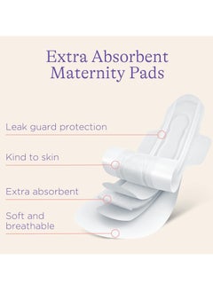Lansinoh Lansinoh Extra Absorbent Premium Maternity Pads 0-2 Weeks Post-Birth, After Delivery Pad For Urinary Incontinence & Heavy Flow|Extra Soft Ultra-Absorbent|Postpartum Flow & Overnight Flow|Pack Of 10  - Image 3