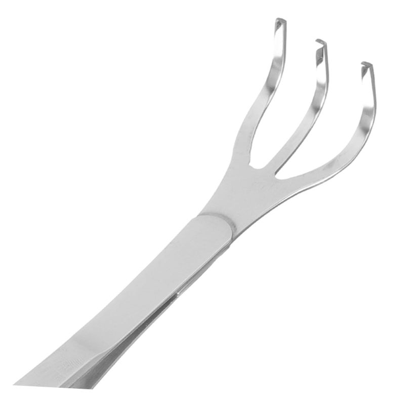 Stainless Steel Bonsai Rake And Tweezers Set Multipurpose Plant Craft Tool - Image 3