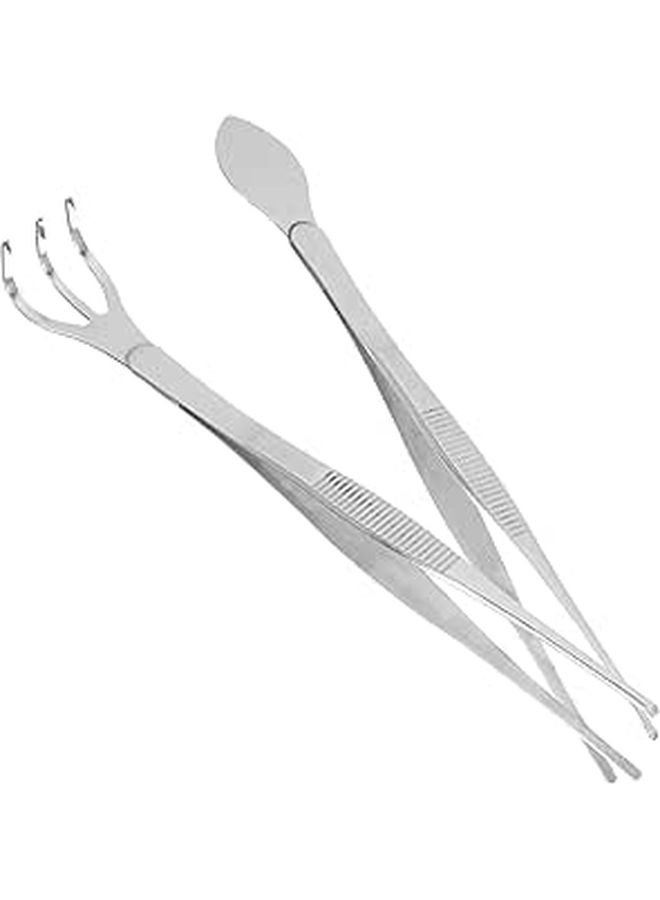 Stainless Steel Bonsai Rake And Tweezers Set Multipurpose Plant Craft Tool - Image 1