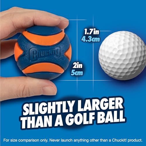 Chuckit! Dog Ultra Squeaker Dog Ball, Small (2 Inch), Pack of 1, For Small Breeds - Image 3
