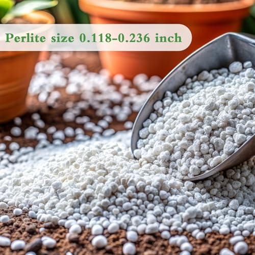 HAINANSTRY Organic Perlite for Plants, Enhances Soil Drainage and Aeration, Perfect Perlite for Plants Indoor & Outdoor, Horticultural Perlite for Gardening, Perfect for Potting Mixes, 1QT - Image 2