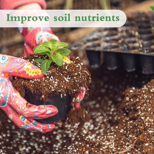 HAINANSTRY Organic Perlite for Plants, Enhances Soil Drainage and Aeration, Perfect Perlite for Plants Indoor & Outdoor, Horticultural Perlite for Gardening, Perfect for Potting Mixes, 1QT - Image 3