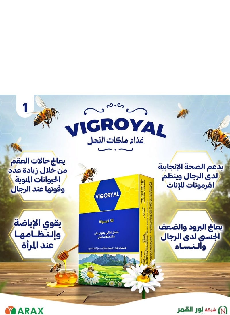 Vigoryal General Tonic Of 2000 Mg Lyophilized Royal Jelly - 30 Capsules