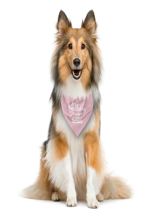 ZPPRJF Birthday Girl Dog Bandana - Pink, Funny, Cute Triangle Scarf for Small, Medium, Large Dogs - Pet Accessories, Gift for Dog Lovers (D31) - Image 3