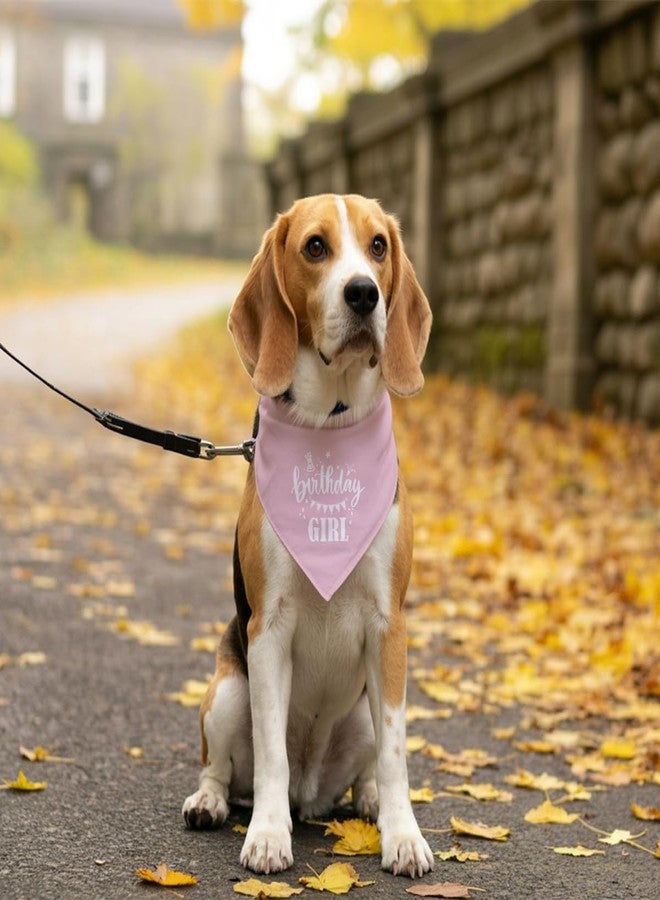 ZPPRJF Birthday Girl Dog Bandana - Pink, Funny, Cute Triangle Scarf for Small, Medium, Large Dogs - Pet Accessories, Gift for Dog Lovers (D31) - Image 5