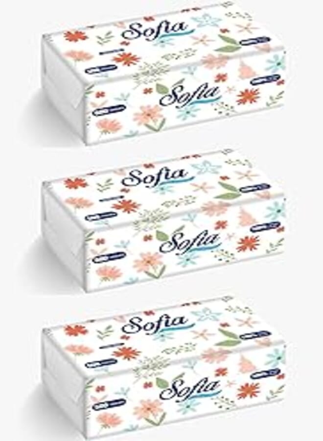 Sofia Facial Pack 500 Tissues 3 Ply (Pack of 3)