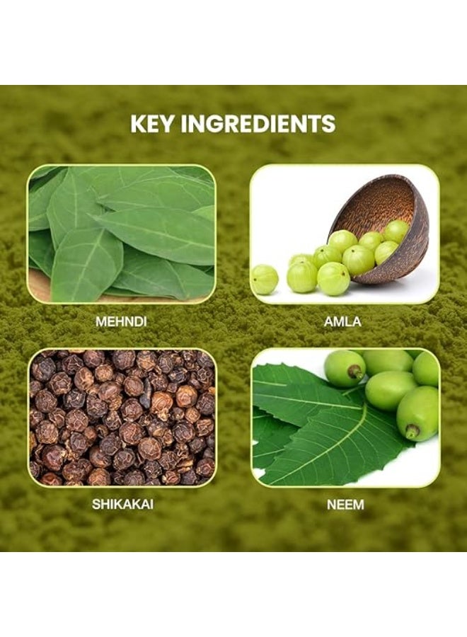 Shahnaz Husain Professional Power Henna | Precious herb Mix | Henna Powder | Amla | Neem | Shikakai | Babul Gond | Mehndi | 100g x 3 - Image 2