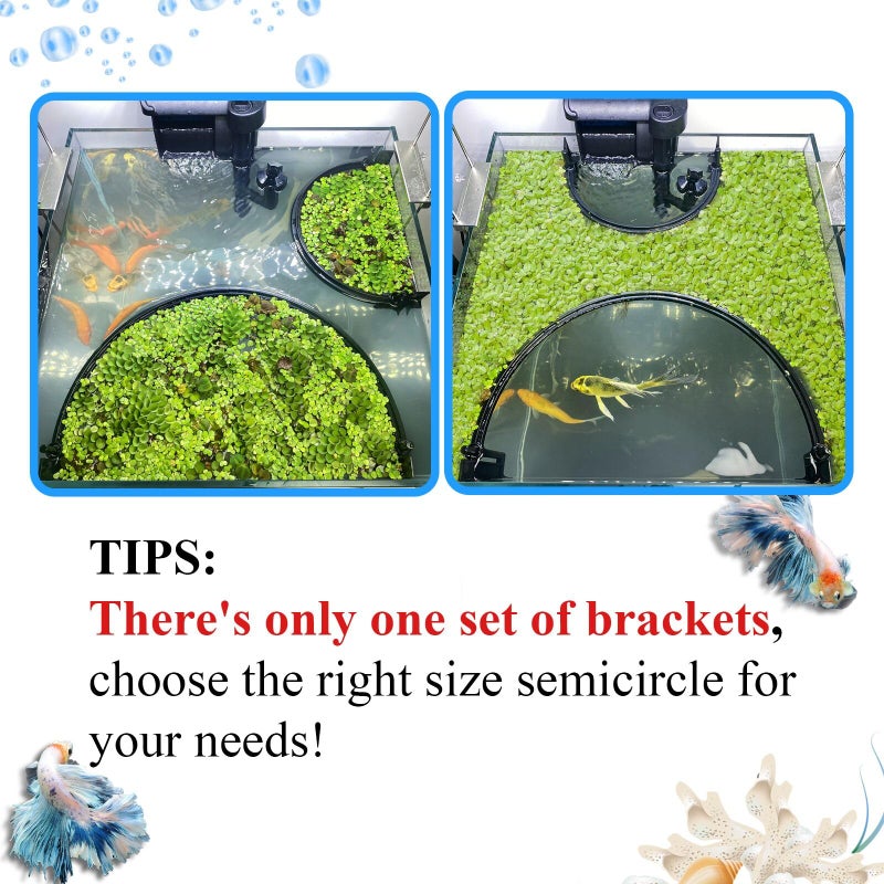 Switior Floating Plant Corral for Aquarium, Fish Tank Accessories to Protects Duckweed from Filters, Automatically Adjusts Height According to Water Level, Suitable for All Duckweed and all aquariums(Style 2) - Image 2