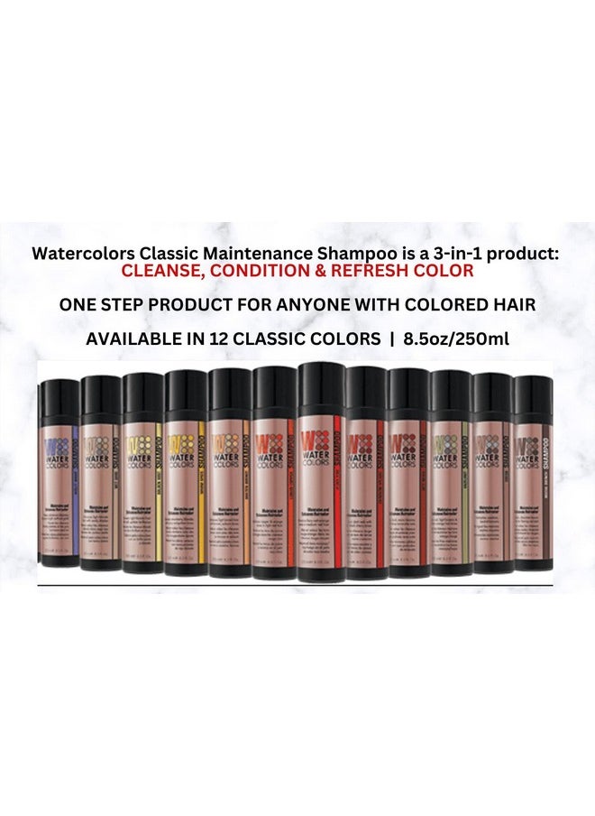 Watercolors - Color Depositing Sulfatefree Shampoo Maintains & Enhances Haircolor Hair Dye Maintenance Wash (Classic Liquid Copper 8.5 Fl Oz)2 Pack - Image 1