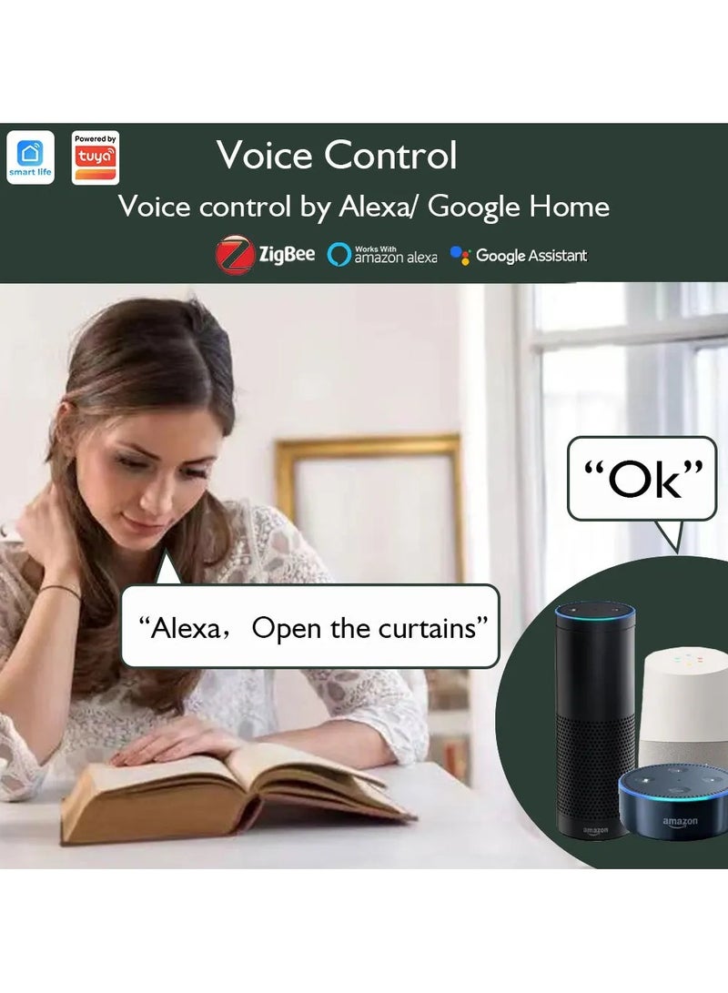 6th Generation Tuya ZigBee Battery Smart Curtains Motor With Remote USB Type with Fast Charge Electric Curtain for Window Alexa
