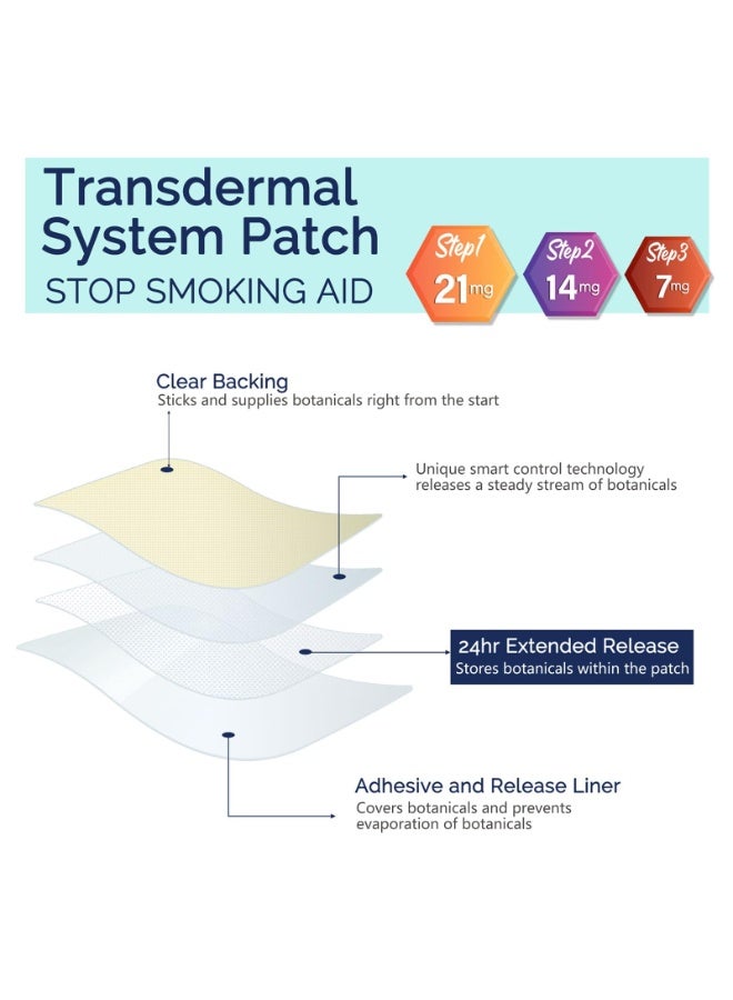 OSHIMA Quit Smoking Nicotine Patches, Step 3-in-1 Nicotine Transdermal Patch, Effective Stop Smoking Aid, Delivered Over 24 Hours Clear Nicotine Patches, Easy to Use, 60 Count - Image 3