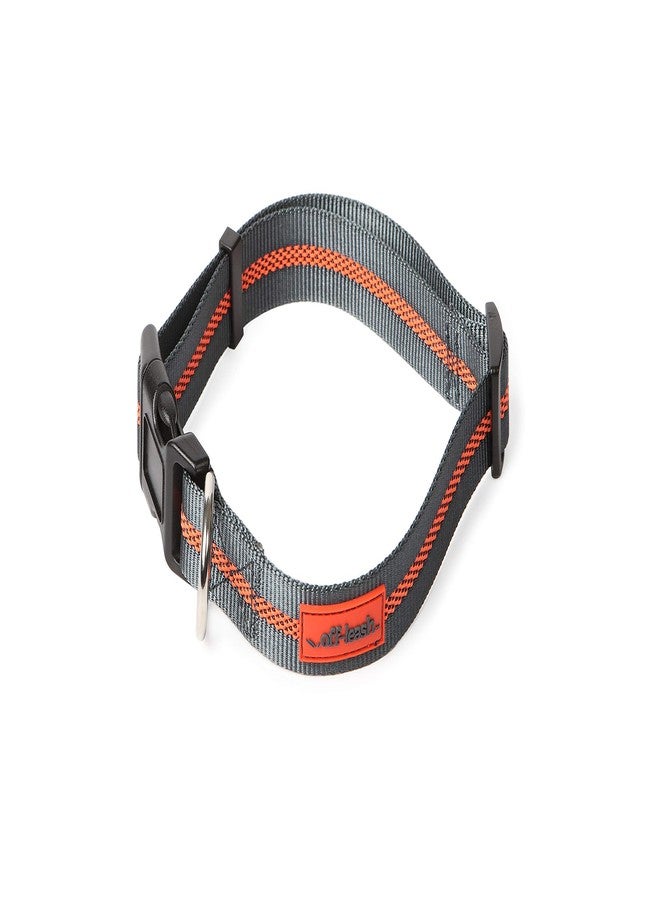 Dexas Off Leash Reflective Dog Collar, Large - Image 2