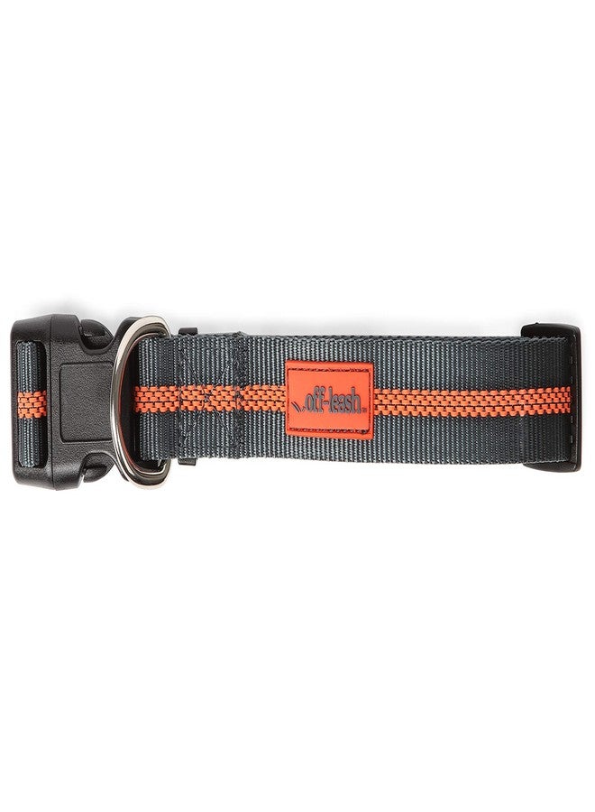 Dexas Off Leash Reflective Dog Collar, Large - Image 1