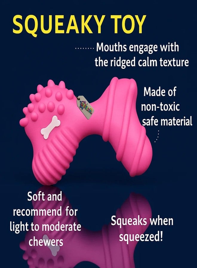 Western Era Bone Shape Squeaky Dog Toy | Durable Rubber Chew Toy with Squeaker for Dogs | Textured Design with Soft Spikes, Ridges & Grip | Play Toy for Dental Cleaning, Teething, Training (Type 1) - Image 5
