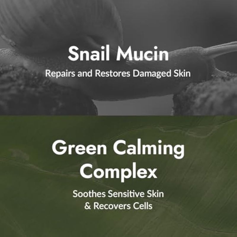 MIZON All in One Snail Repair Cream, Face Moisturizer with Snail Mucin Extract, Recovery Cream, Korean Skincare, Wrinkle & Blemish Care (2.53 Fl Oz Pack of 1) - Image 3