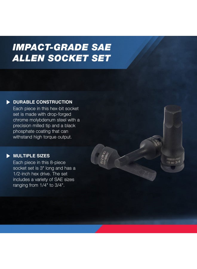 Neiko NEIKO 01137B 1/2-Inch-Drive Allen Socket Set, 3-Inch Length, 1/2-Inch Impact Hex-Bit Socket Set, SAE Hex Driver 1/4" to 3/4", CrMo Steel, Impact-Grade, 8-Piece Set  - Image 3