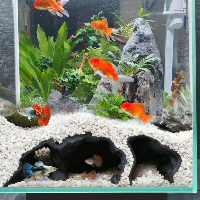 LIYAOLI Aquarium Ornaments Cave Tunnel with Viewing Ports | Fish Tank Decoration Hideout for Pleco, Shrimp & Corydoras | Substrate-Friendly Design & Sinking Base - Image 1