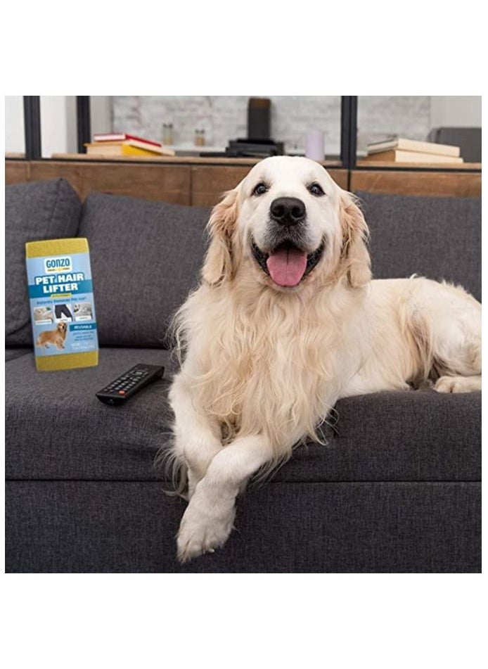Pet Hair Lifter - 1 Sponge