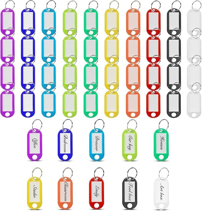 Multi Color Plastic Key Tags with Split Metal Ring and Name ID Card – Perfect for Organizing Keys, Memory Cards, Bags Easily and Neatly (Multicolor) (40)