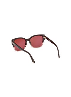 TOM FORD Women's Butterfly Shape Acetate Sunglasses FT110848Z55 Lens Size: 55 Millimeter - Shiny Dark Brown  - Image 5