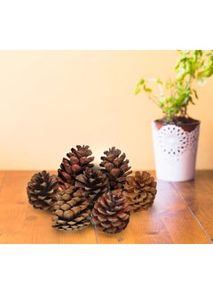 Gachwala Gachwala Natural Pine Cone Wooden Pinecone Wedding PartyChristmas Tree Decoration Brown New Year Festival Party Decoration Pack of 6  - Image 1