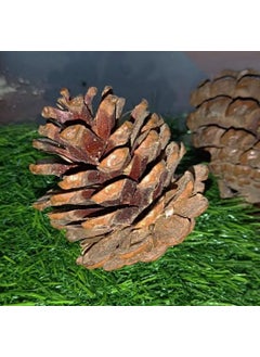 Gachwala Gachwala Natural Pine Cone Wooden Pinecone Wedding PartyChristmas Tree Decoration Brown New Year Festival Party Decoration Pack of 6  - Image 4