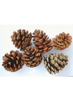 Gachwala Gachwala Natural Pine Cone Wooden Pinecone Wedding PartyChristmas Tree Decoration Brown New Year Festival Party Decoration Pack of 6  - Image 2