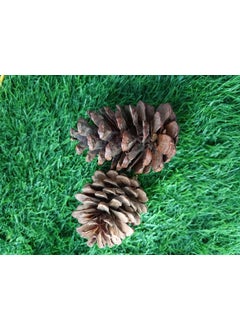 Gachwala Gachwala Natural Pine Cone Wooden Pinecone Wedding PartyChristmas Tree Decoration Brown New Year Festival Party Decoration Pack of 6  - Image 5