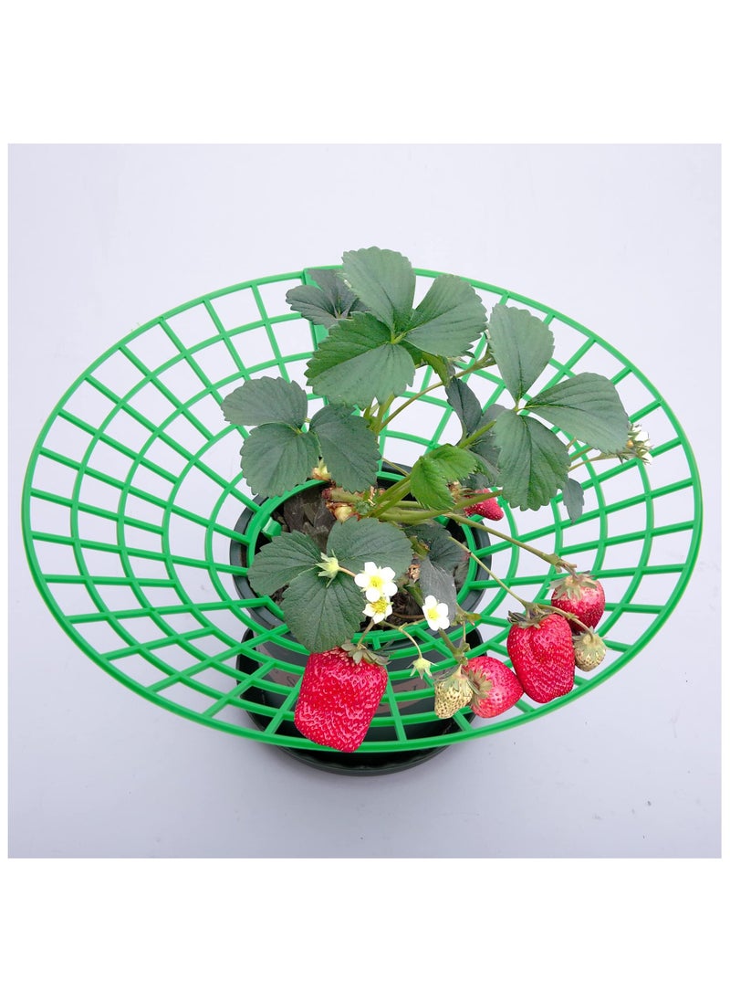 SYOSI 14 Pack Strawberry Supports, Strawberry Plant Support with 3 Sturdy Support Feet, Strawberry Growing Racks, Strawberry Growing Frame, Protecting Strawberry Plants from Mold, Rot and Dirt, Green  - Image 5
