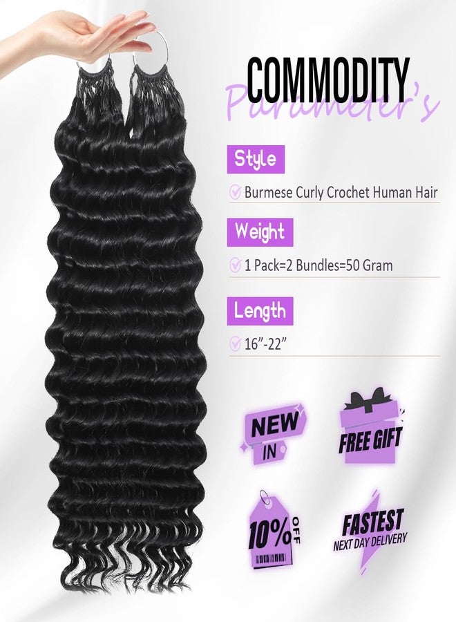 Headdoll Human Crochet Hair Deep wave Crochet Human Hair for Black Women 20 Inch Pre-Separated Feather Crochet Human Hair 100% Human Hair Bundles Hair Extensions Natural Black - Image 2