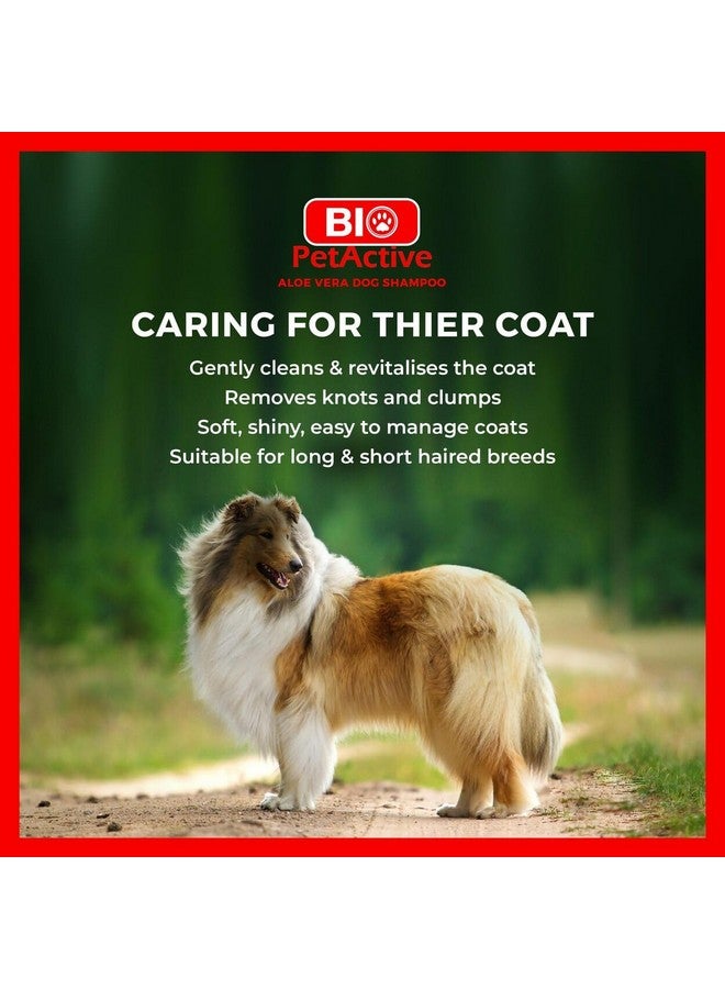 Bio Pet Active Bio PetActive Aloe Vera Extract Shampoo for Dogs - Cleansing & Moisturizing Care for Sensitive and Normal Skin, Paraben Free, pH Balanced + Natural Ingredients - 13.53 Fl oz - Image 3