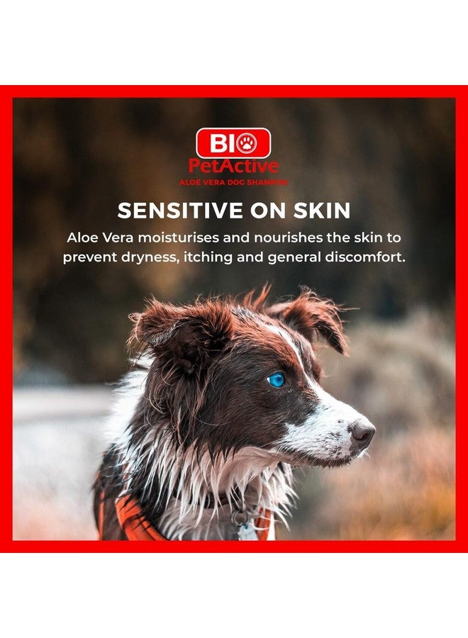 Bio Pet Active Bio PetActive Aloe Vera Extract Shampoo for Dogs - Cleansing & Moisturizing Care for Sensitive and Normal Skin, Paraben Free, pH Balanced + Natural Ingredients - 13.53 Fl oz - Image 5