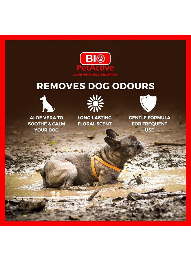 Bio Pet Active Bio PetActive Aloe Vera Extract Shampoo for Dogs - Cleansing & Moisturizing Care for Sensitive and Normal Skin, Paraben Free, pH Balanced + Natural Ingredients - 13.53 Fl oz - Image 4