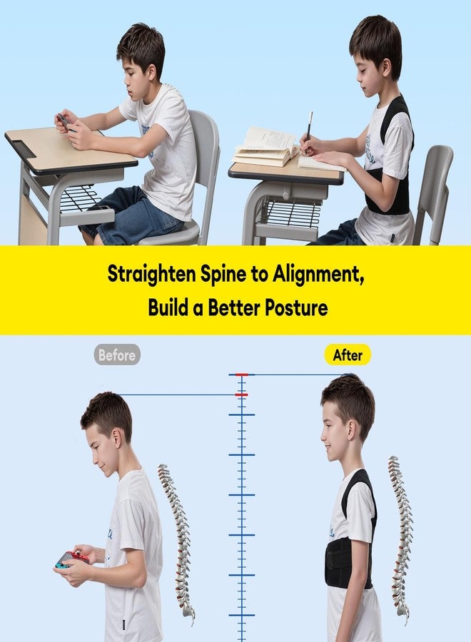 babaka Posture Corrector for Kids and Teens Adjustable Full Back Support Brace, Scoliosis, Dowagers Hump, Hunchback, Spine Corrector Boys and Girls (Medium) - Image 2