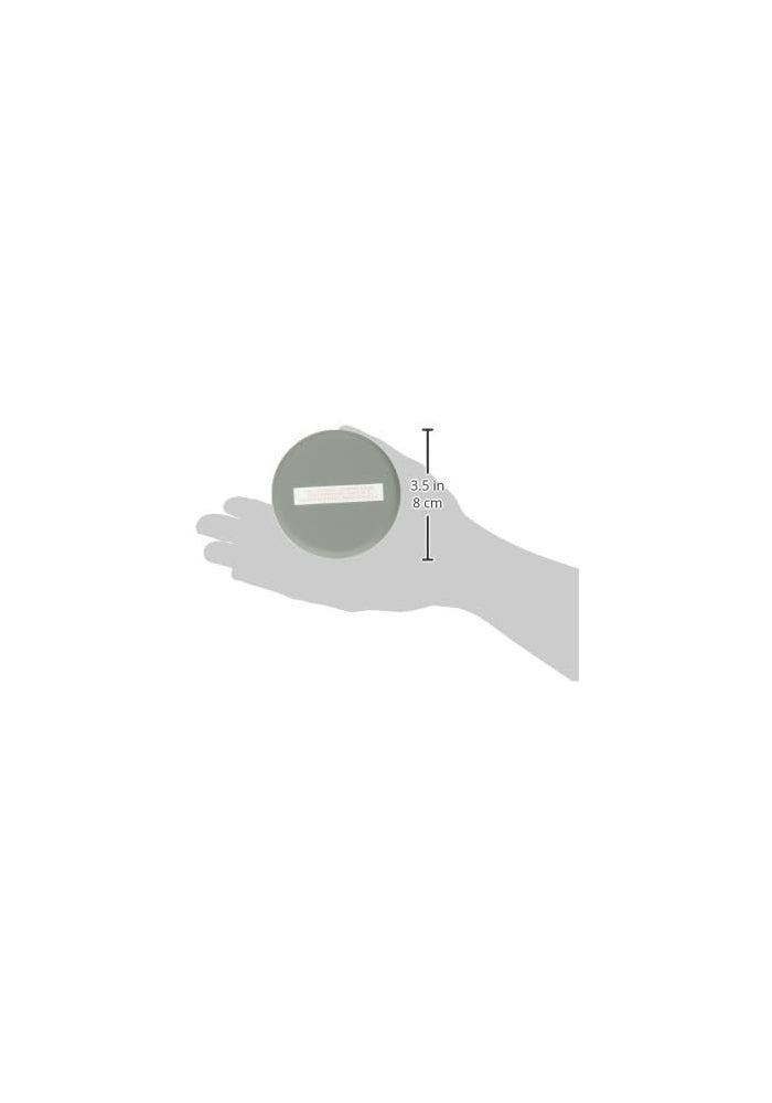 Viair 1/4" NPT Intake Air Filter Assembly - Image 3