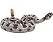 Gemini&Genius GeminiGenius Rattlesnake Toy for Kids Snake Habitat Reptile Toy Rattler Animal Action Figure Desert Animal Toys Halloween Prop Kids Gifts - Image 2