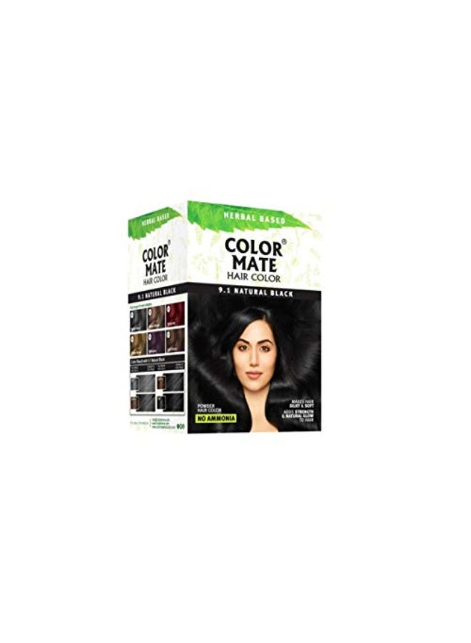 Color Mate Herbal Based Ammonia Free Hair Color with Ayur Product in Combo 91Natural Black - Image 1