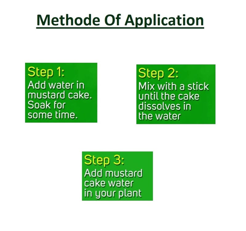 KPETALSHIP كيبيتالشيب ثقافة عضوية 100% كعكة خردل نقية من الدرجة A للنباتات 800 جرام - Image 3