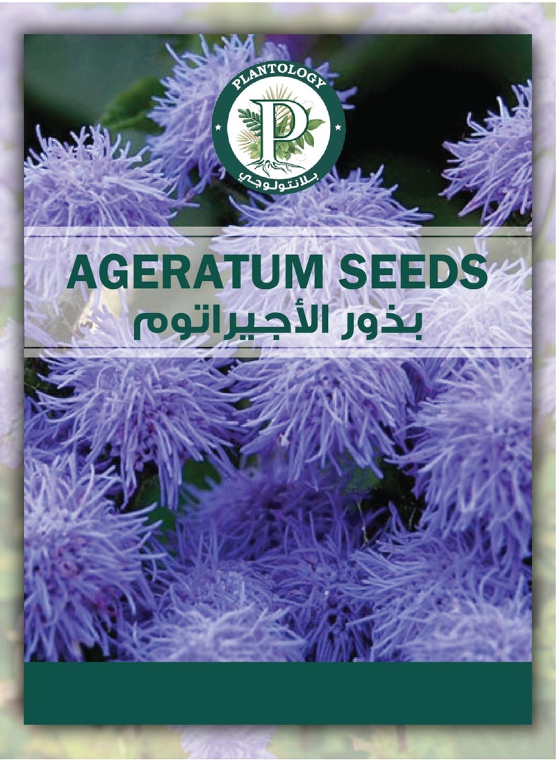 Generic - Ageratum Seed for Planting - Flower Seeds for Planting - Image 1