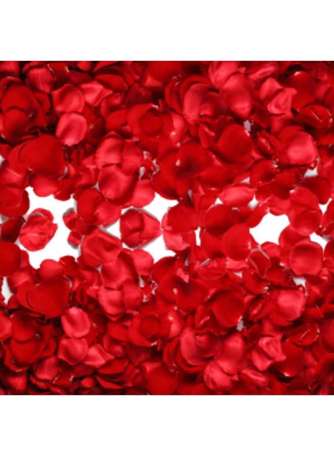 Carmel Flowers بتلات الورد الأحمر 1/2 كجم