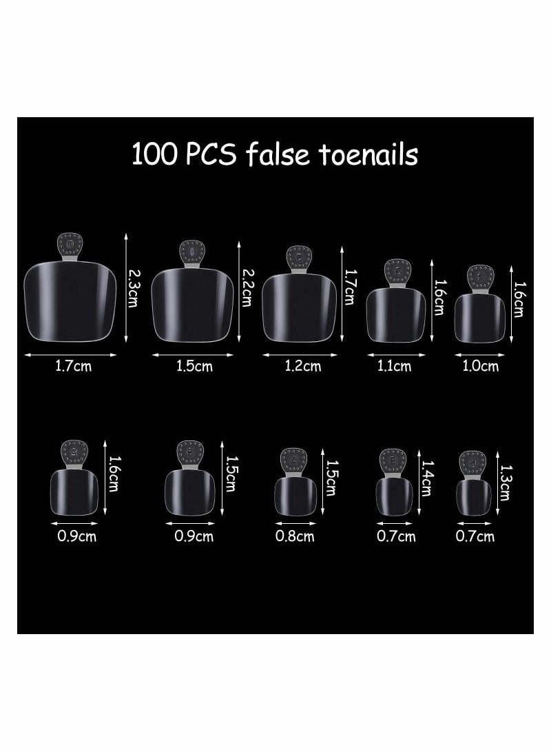 200 Pcs Acrylic False Toenails with Box - French Full Cover Tips for Women, 10 Sizes for Nail Salons & DIY Foot Art (Clear) - Image 4